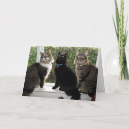 3人の友達「ケーキのための時間」誕生日カード カード