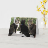 3人の友達「ケーキのための時間」誕生日カード カード (黄色い花)