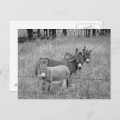 3人の友達 ポストカード (正面/裏面)