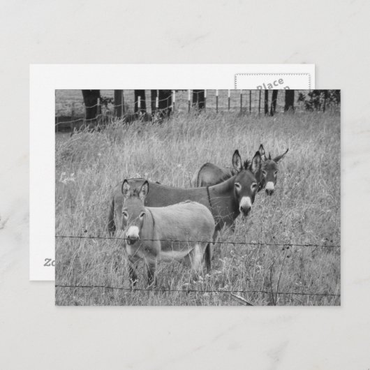 3人の友達 ポストカード (正面/裏面)