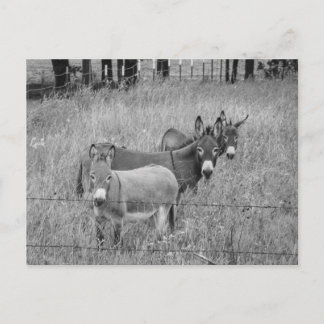 3人の友達 ポストカード