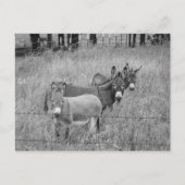 3人の友達 ポストカード (正面)