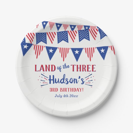 3人の土地だ!7月3日の4日パーティー ペーパープレート (正面)