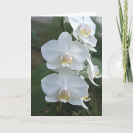 3人の小さい女中の挨拶状 カード (正面)