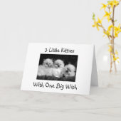 3人の猫ちゃんが1歳の大きなお祝いの誕生日を迎える カード (黄色い花)