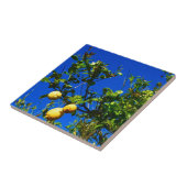 3個のシシリアレモン タイル (側面)