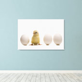 3個の卵を持つベビーの雛のクローズアップ キャンバスプリント (インサイチュ (ウッドフロア))