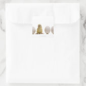 3個の卵を持つベビーの雛のクローズアップ スクエアシール (バッグ)