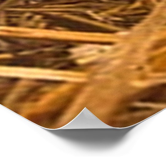 3個の子豚 ポスター (角)