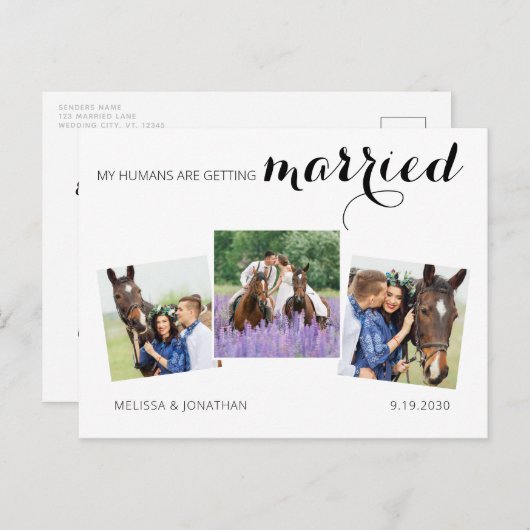 3写真モダン馬ペットの結婚式の日付を保存 案内ポストカード (正面/裏面)