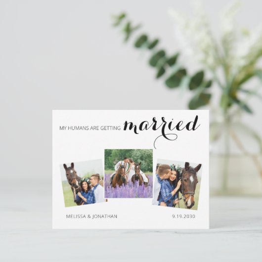 3写真モダン馬ペットの結婚式の日付を保存 案内ポストカード (スタンド正面)