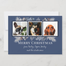 3写真植物性フローラ水彩 シーズンカード