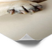 3列に並んだパグ ポスター (角)