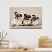 3列に並んだパグ ポスター (キッチン)