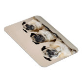 3列に並んだパグ マグネット (右側)