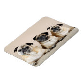 3列に並んだパグ マグネット (左側)