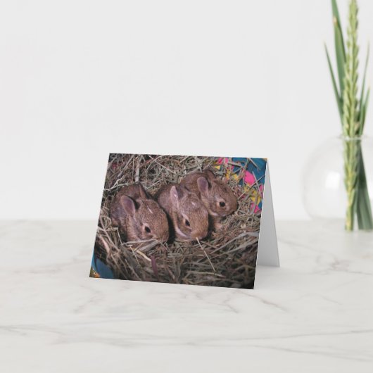 3列のサンキューカード サンキューカード (正面)