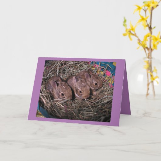 3列 カード (黄色い花)