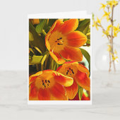 3匹のケシ-明るの輝やき カード (黄色い花)