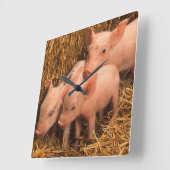 3匹のコブタ スクエア壁時計 (傾斜)