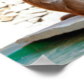 3匹のサルが一緒に野生動物 ポスター (角)