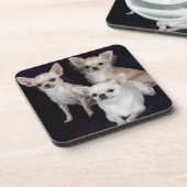 3匹のチワワ コースター (左側)