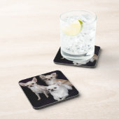 3匹のチワワ コースター (右側)