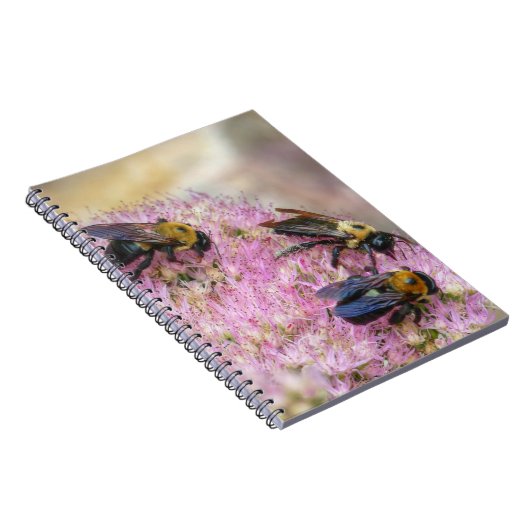 3匹のハチ ノートブック (右側)