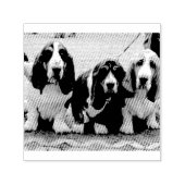 3匹のバセットハウンドの子犬 セルフインキングスタンプ (デザイン)