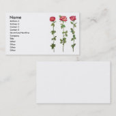 3匹のバラ 名刺 (正面/裏面)