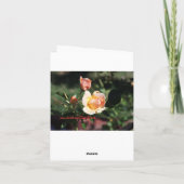 3匹のバラ、美しい誕生日 カード (裏面)