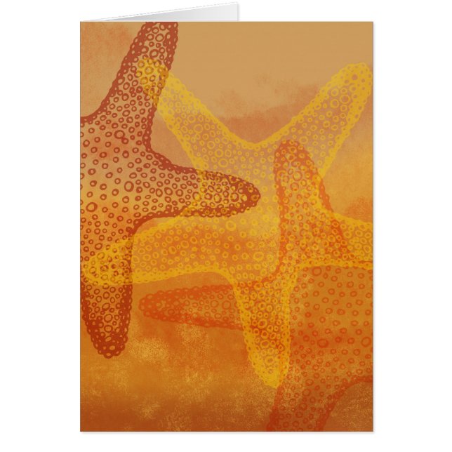 3匹のヒトデ (正面)