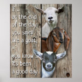 3匹のヤギポートレート – ヤギみたいに可愛い匂い ポスター (正面)