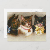 「3匹のヴィンテージ猫」のはがき ポストカード (正面/裏面)