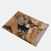 3匹の好奇心が強い猫の子ネコ ドアマット (アングル)