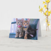 3匹の子ネコ カード (黄色い花)