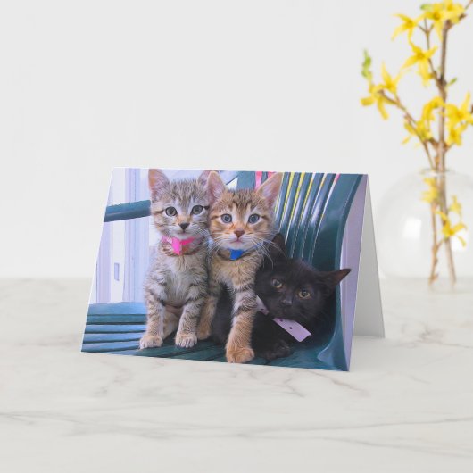 3匹の子ネコ カード (黄色い花)