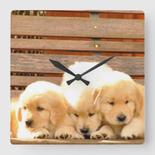 3匹の子犬の時計 スクエア壁時計