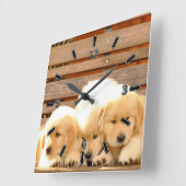 3匹の子犬の時計(数と) スクエア壁時計 (傾斜)