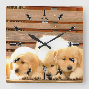 3匹の子犬の時計(数と) スクエア壁時計