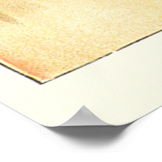 3匹の子猫と出会うミトンたちを探す ポスター (角)