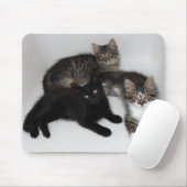 3匹の子猫のマウスパッド マウスパッド (マウス)