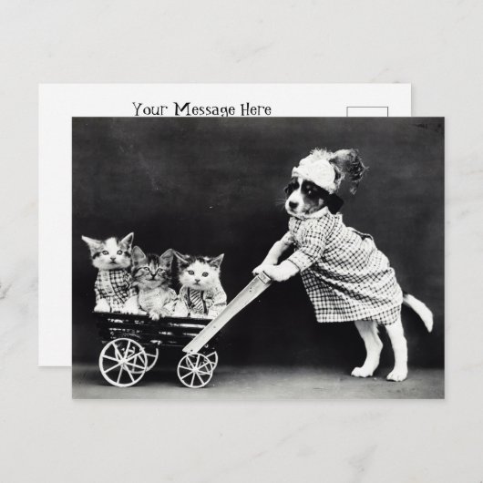 3匹の子猫を馬車に乗せたワンちゃん ポストカード (正面/裏面)