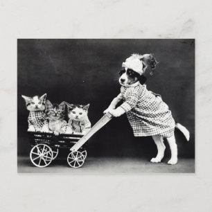 3匹の子猫を馬車に乗せたワンちゃん ポストカード