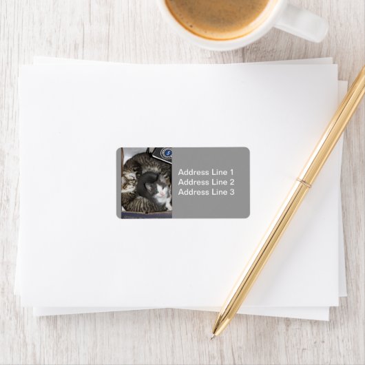 3匹の子猫ラベル ラベル (インサイチュ)