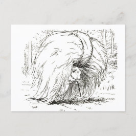 3匹の子豚：最初の子豚はがき ポストカード