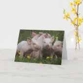 3匹の小さいブタの会合 カード (黄色い花)