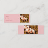 3匹の小さいブタ スキニー名刺 (正面/裏面)