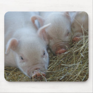 3匹の小さいブタ マウスパッド
