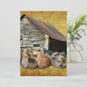 3匹の小さな豚が納屋で雪素朴を眺めている サンキューカード (スタンド正面)